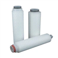 Bộ lọc hộp mực PTFE